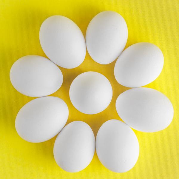 benefícios da clara de ovo