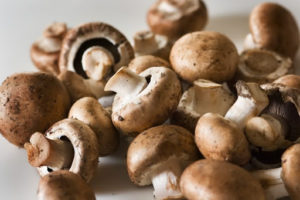 benefícios do cogumelo