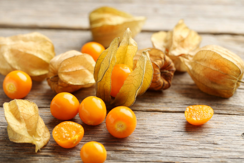 Benefícios da Physalis