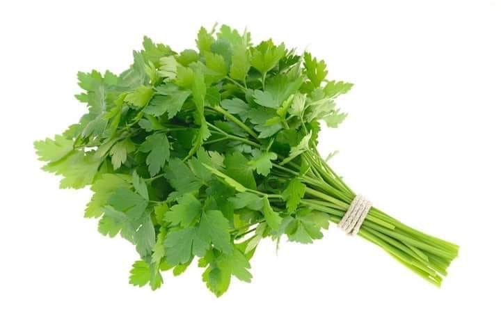 Chá de Salsa