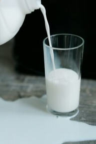 alimentos ricos em cálcio copo de leite