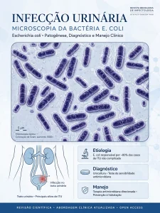 Bactéria E. coli causa principal de infecção urinária vista no microscópio