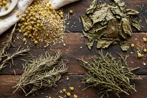diversas plantas medicinais secas sobre mesa de madeira escura