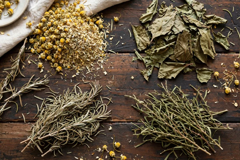 diversas plantas medicinais secas sobre mesa de madeira escura
